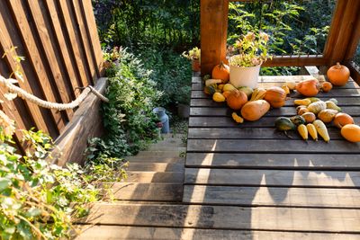 Gartenweg und Treppe