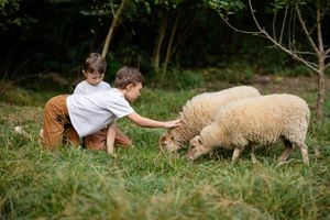 Familie 24