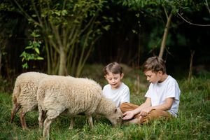 Familie 19
