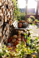 Veranda mit ländlicher Dekoration