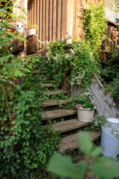 Treppe und Gartenbereich des Fotostudios in Weismain