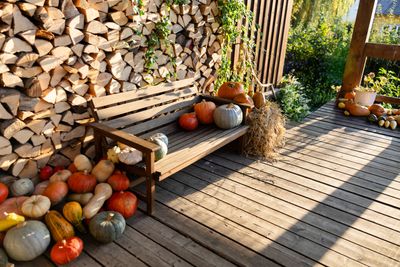 Veranda des Fotostudios mit Holz, Pflanzen und ländlicher Atmosphäre