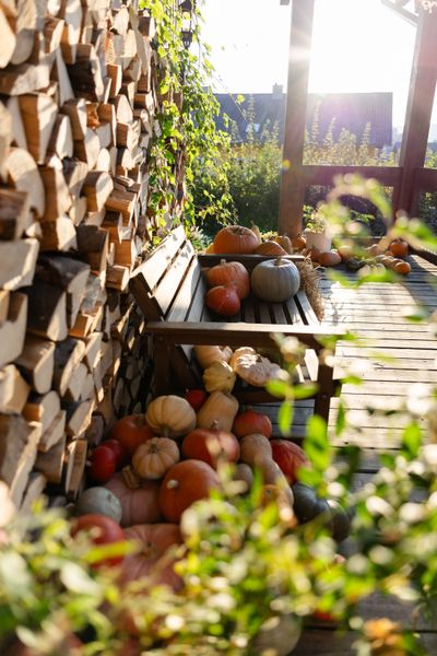 Veranda mit ländlicher Dekoration