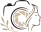 Carlos Kremm Logo